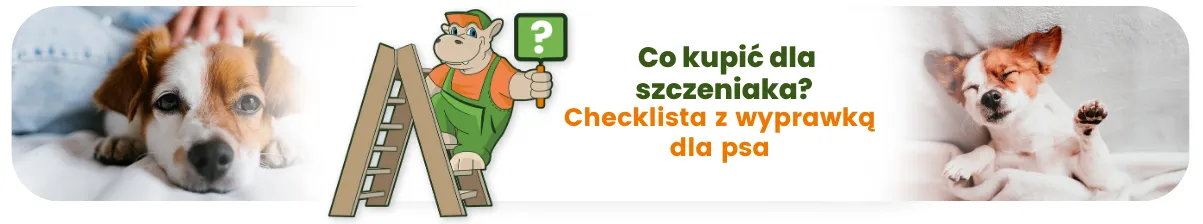 Co kupić dla szczeniaka? Checklista z wyprawką dla psa